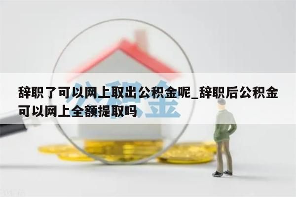 辞职了可以网上取出公积金呢_辞职后公积金可以网上全额提取吗